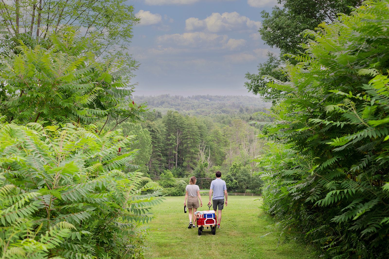Walking to Tanglewood