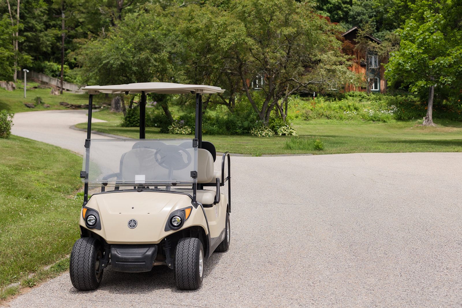 Golf cart to drive you up and down the hill