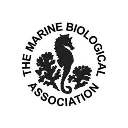 mba Logo