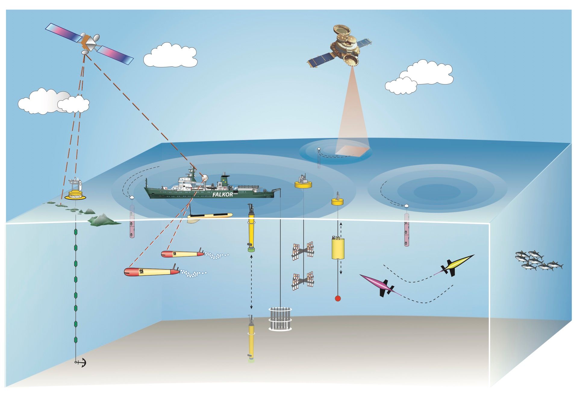 The 2018 EDDIES expedition will combine the use of satellites, ships, and autonomous vehicles to survey mesoscale eddy fields in the North Pacific Ocean as these expansive coherent features propagate westward across the oligotrophic gyre.