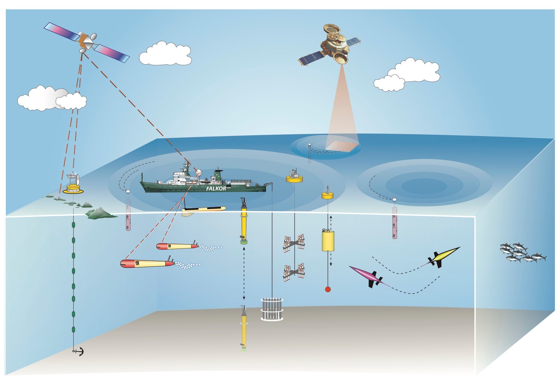 The 2018 EDDIES expedition will combine the use of satellites, ships, and autonomous vehicles to survey mesoscale eddy fields in the North Pacific Ocean as these expansive coherent features propagate westward across the oligotrophic gyre.