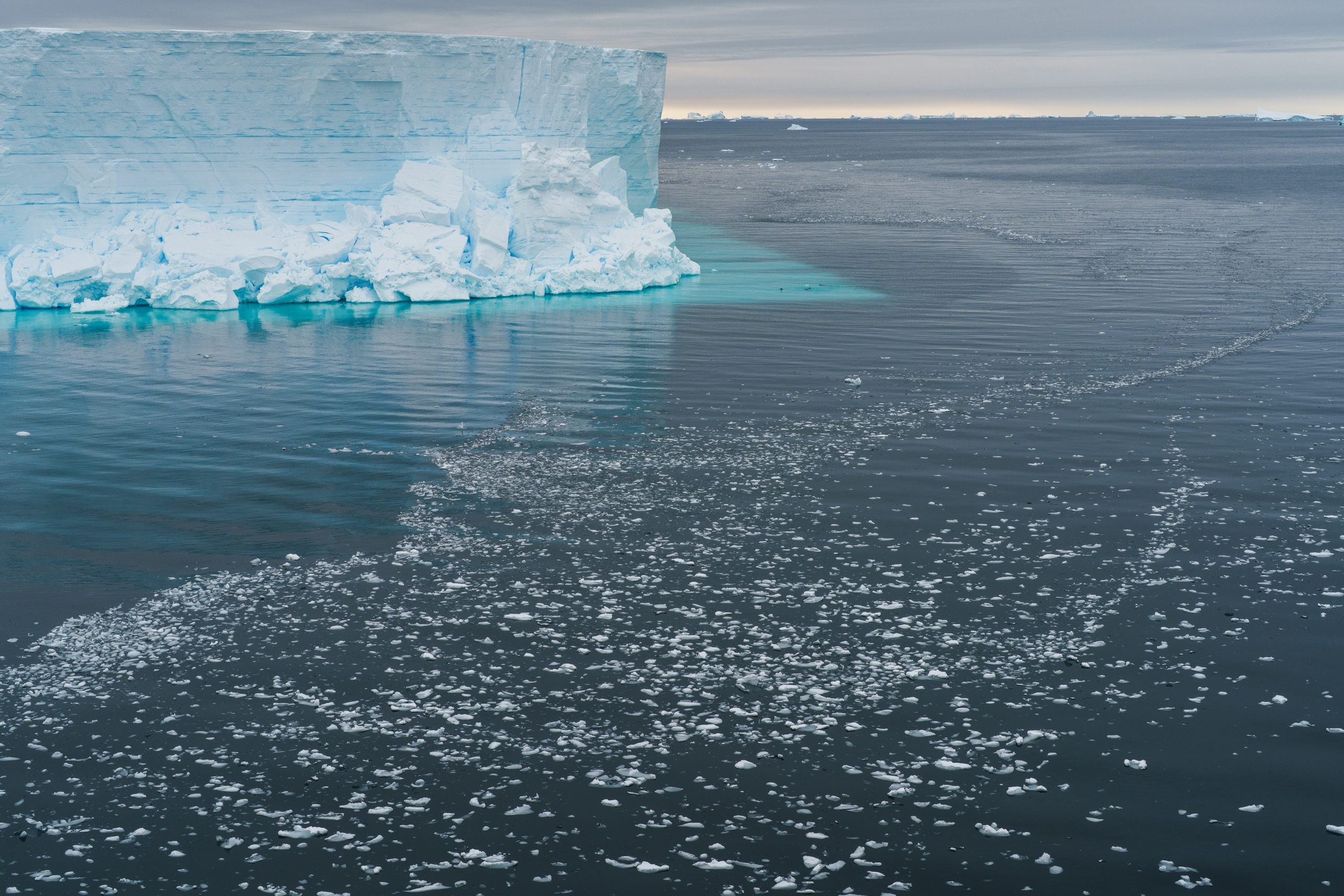 A large ice shelf on the shore of the sea with many smaller chunks of floating ice