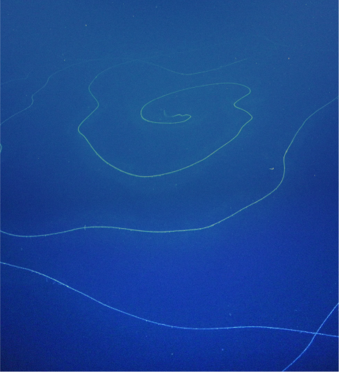 blue texture image