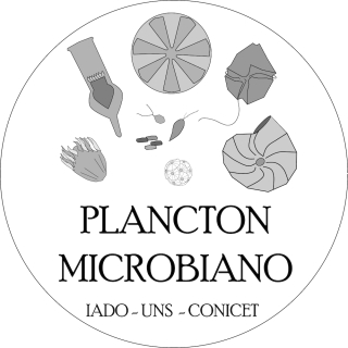 Plancton Microbiano IADO - UNS - CONICET Logo