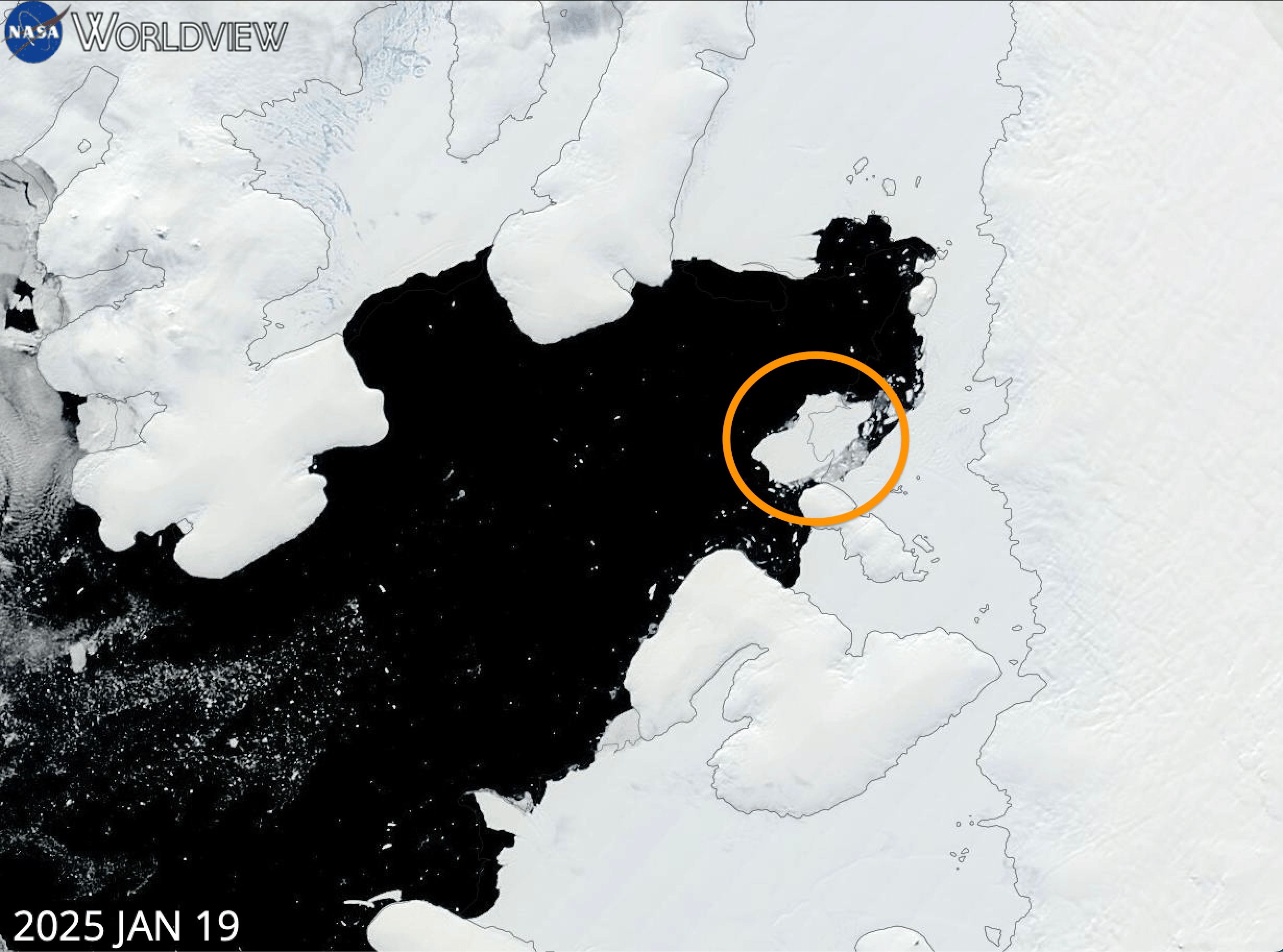 A satellite imagery map showing the iceberg calved from George VI Ice Shelf in the Bellingshausen Sea.