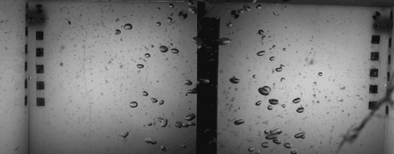 Image shows animated gif of bubbles rising through Bubble Box