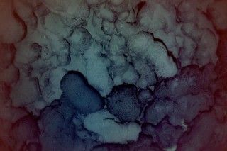 Photograph of the seafloor showing the edge of a recently erupted lava flow (dark in lower half of image) that was discovered during the R/V Falkor expedition. Image Credit: SOI / AUV Sentry