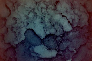 Photograph of the seafloor showing the edge of a recently erupted lava flow (dark in lower half of image) that was discovered during the R/V Falkor expedition. Image Credit: SOI / AUV Sentry