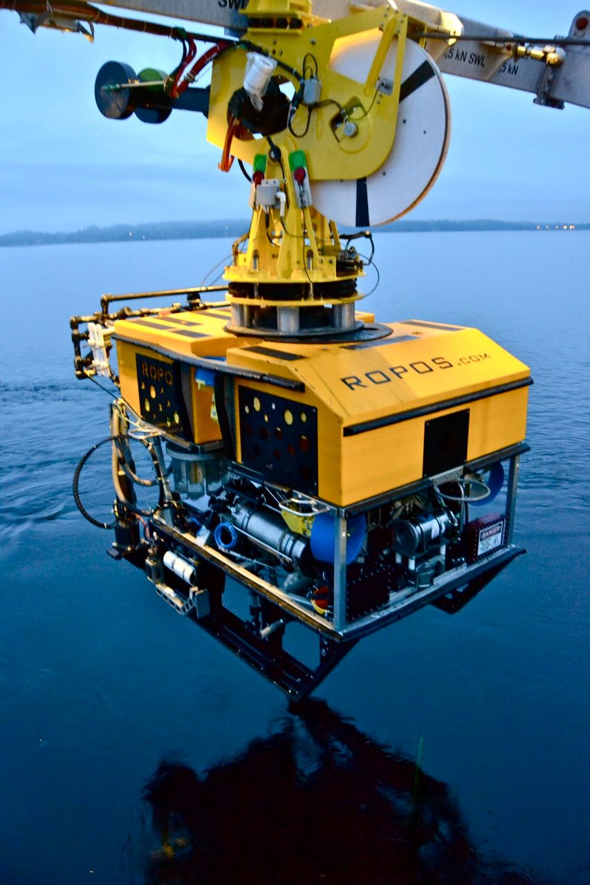 schmidtocean Logo