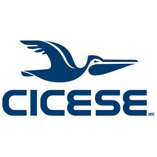 cicese Logo