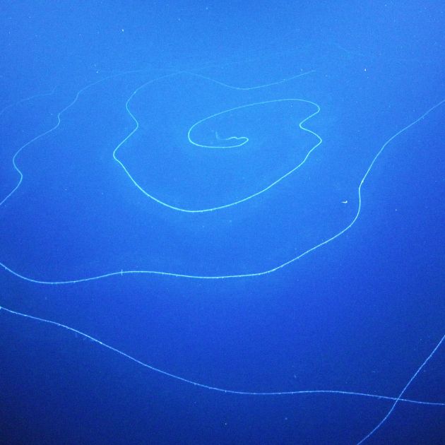 Wavy ocean pattern