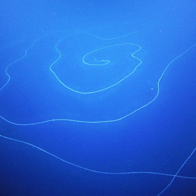Wavy ocean pattern