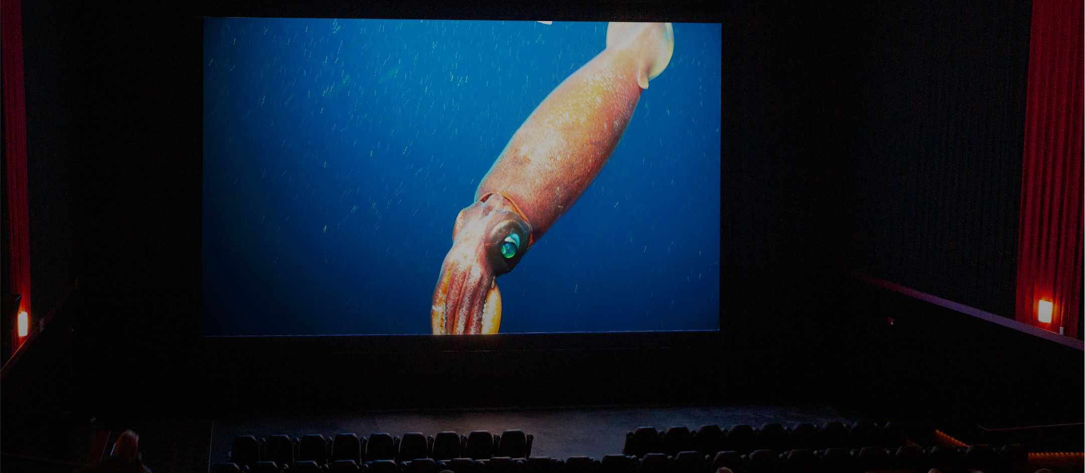people sitting in movie theatre watching a film