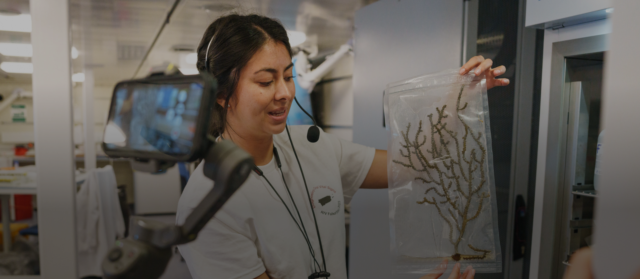 person holding a plant species  while being recorded 