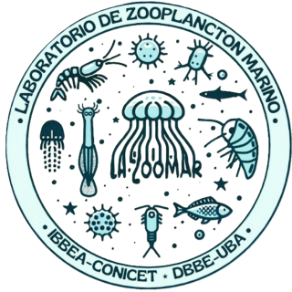 lazoomar Logo
