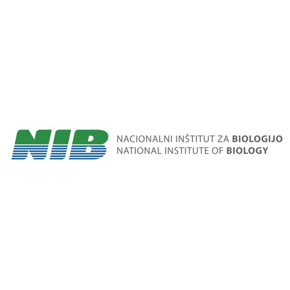nib Logo