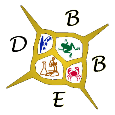 dbbe Logo