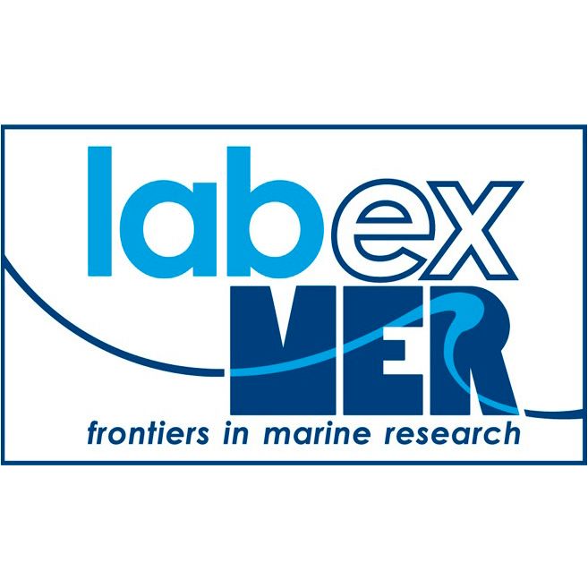 labexmer Logo