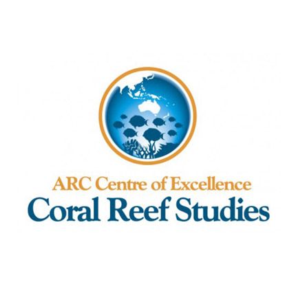 coralcoe Logo