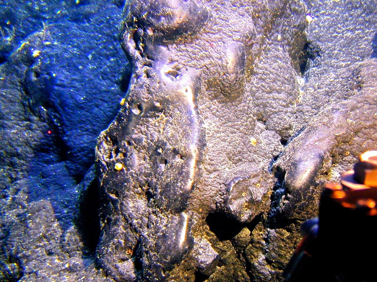 In the 800 to 2,500-meter depth range, manganese and other important minerals precipitate out of seawater to form crusts like this one.