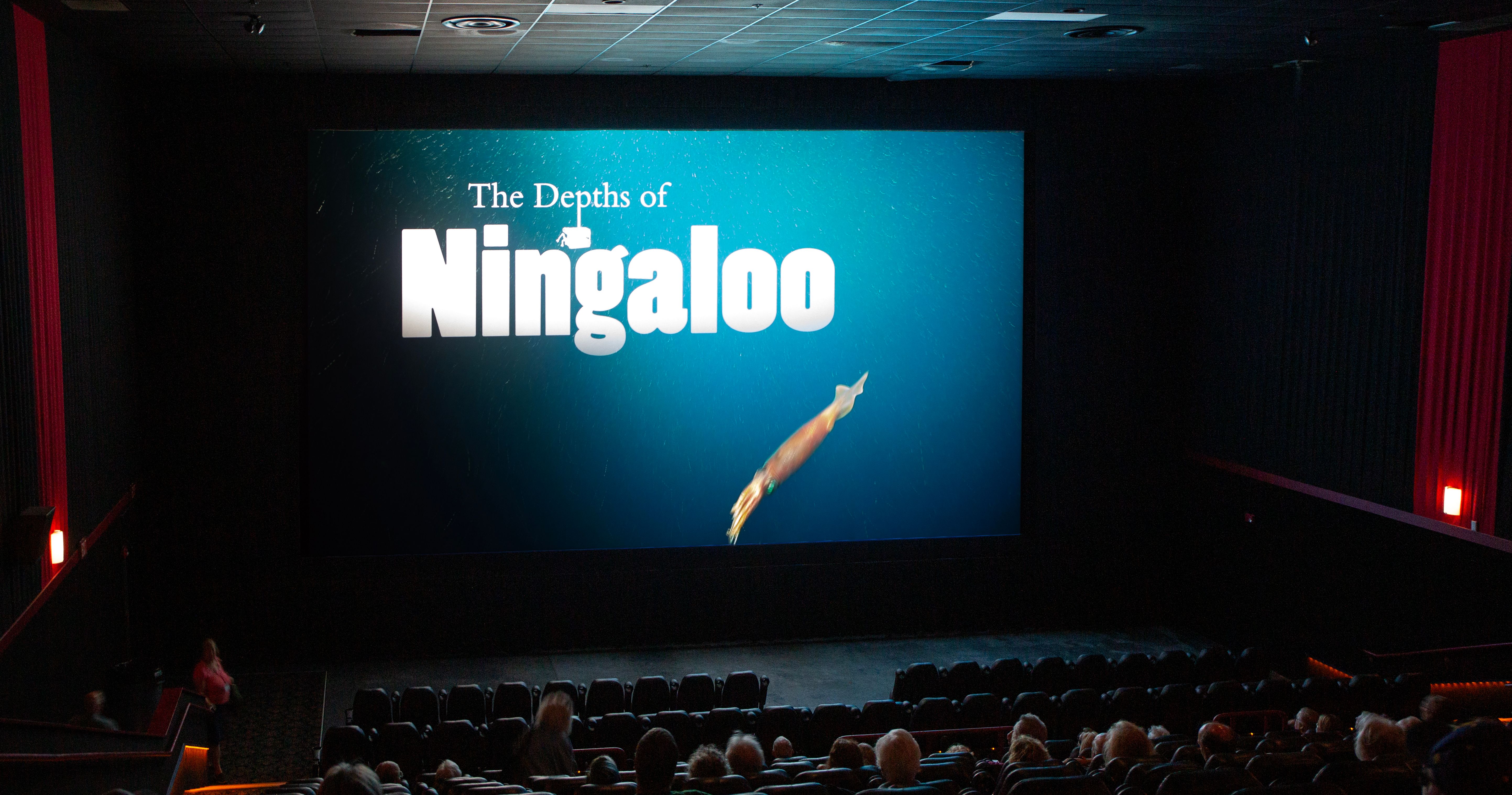 people in theatre watching a film called the depths of ningaloo