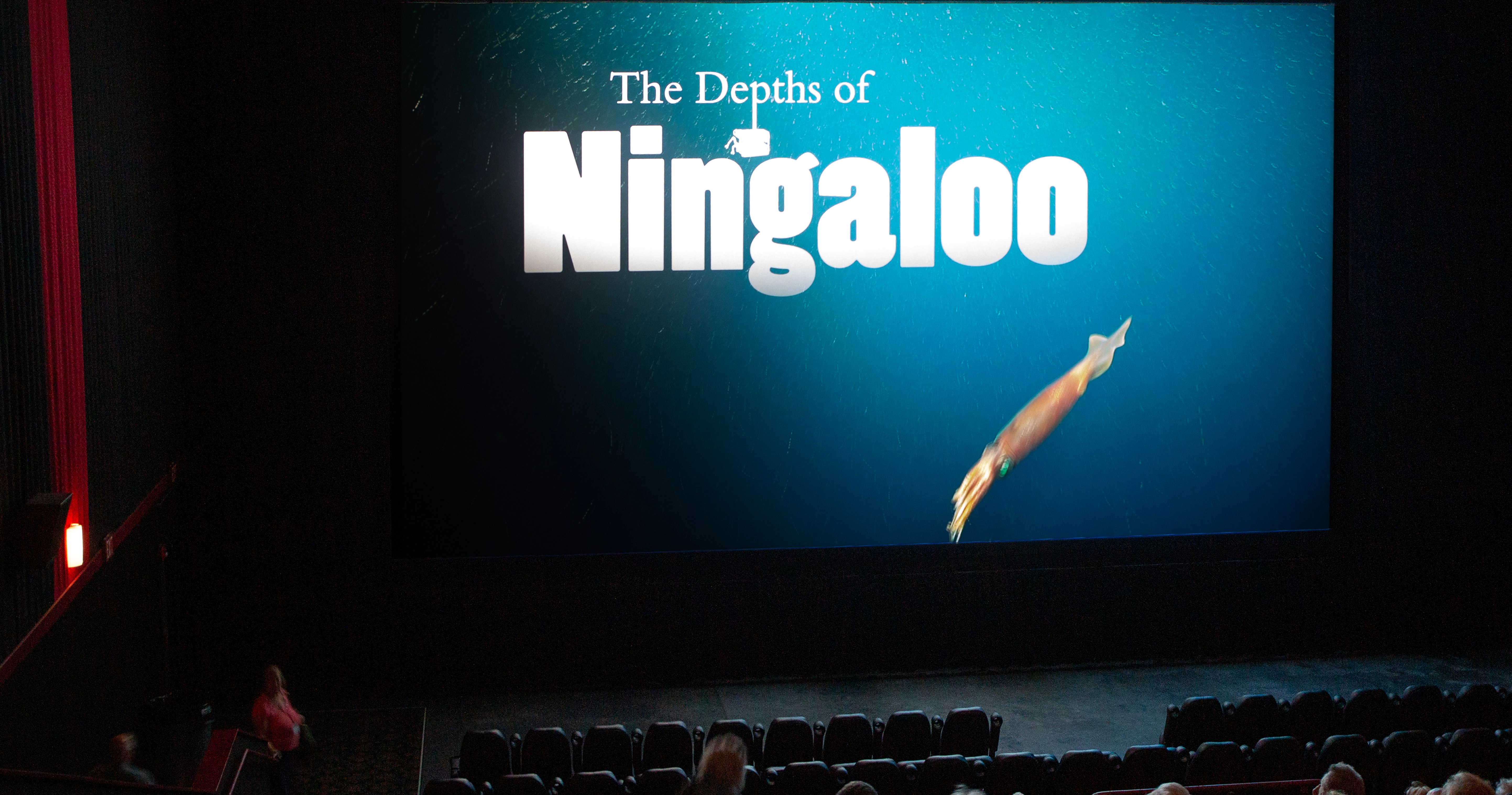 people in theatre watching a film called the depths of ningaloo