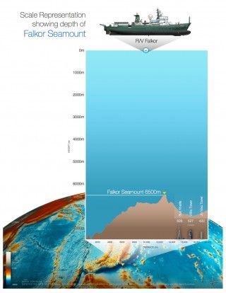 Scaled representation showing the depth of Falkor Seamount compared to some of the world's tallest buildings. 
