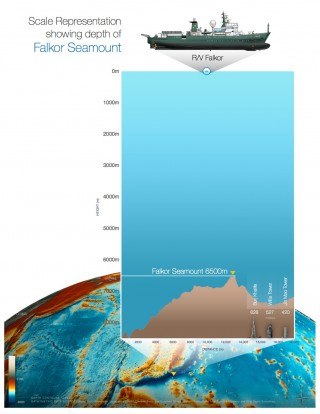 Scaled representation showing the depth of Falkor Seamount compared to some of the world's tallest buildings.