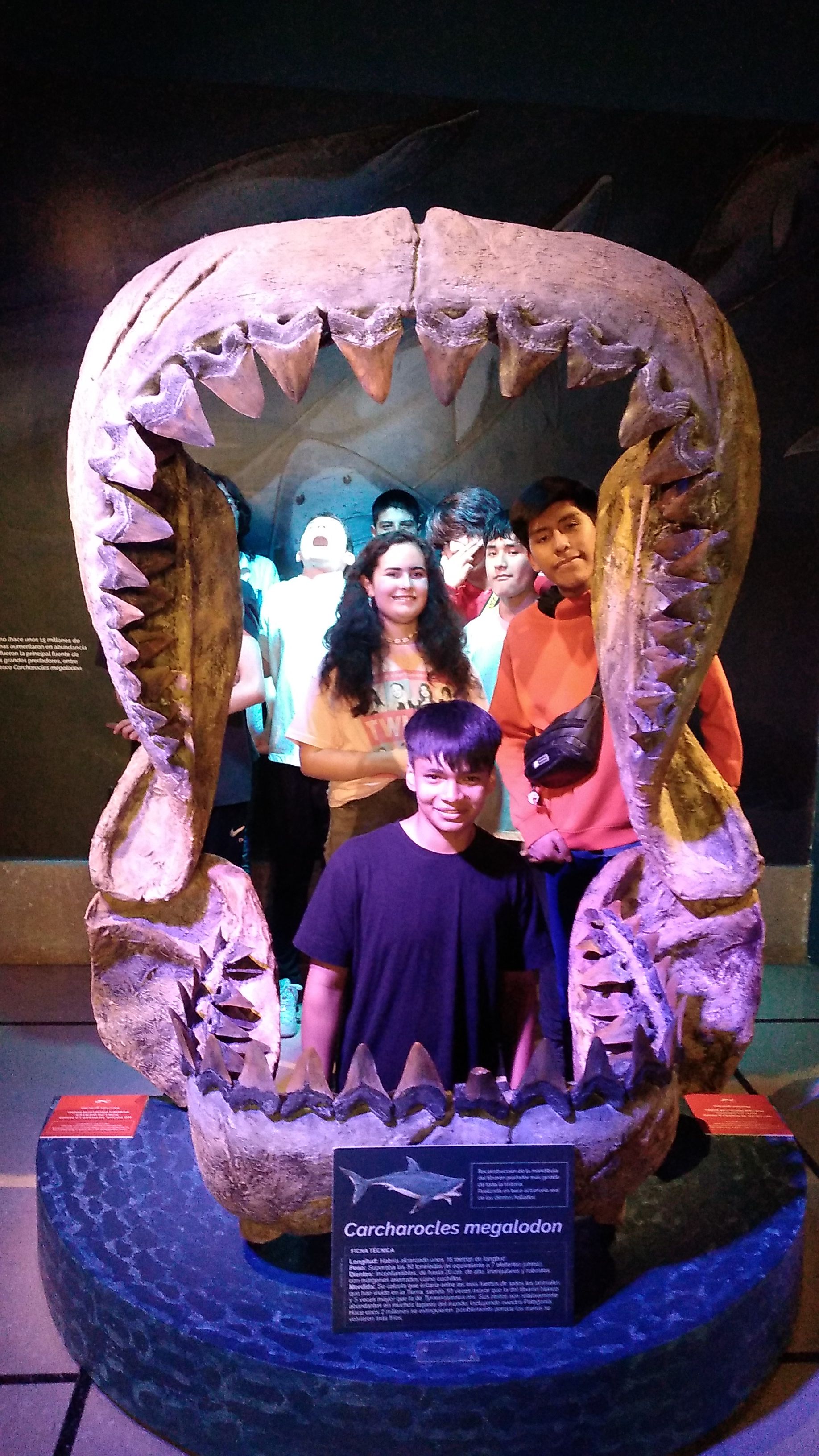 Students pose in a model of the jaws of a megalodon. 