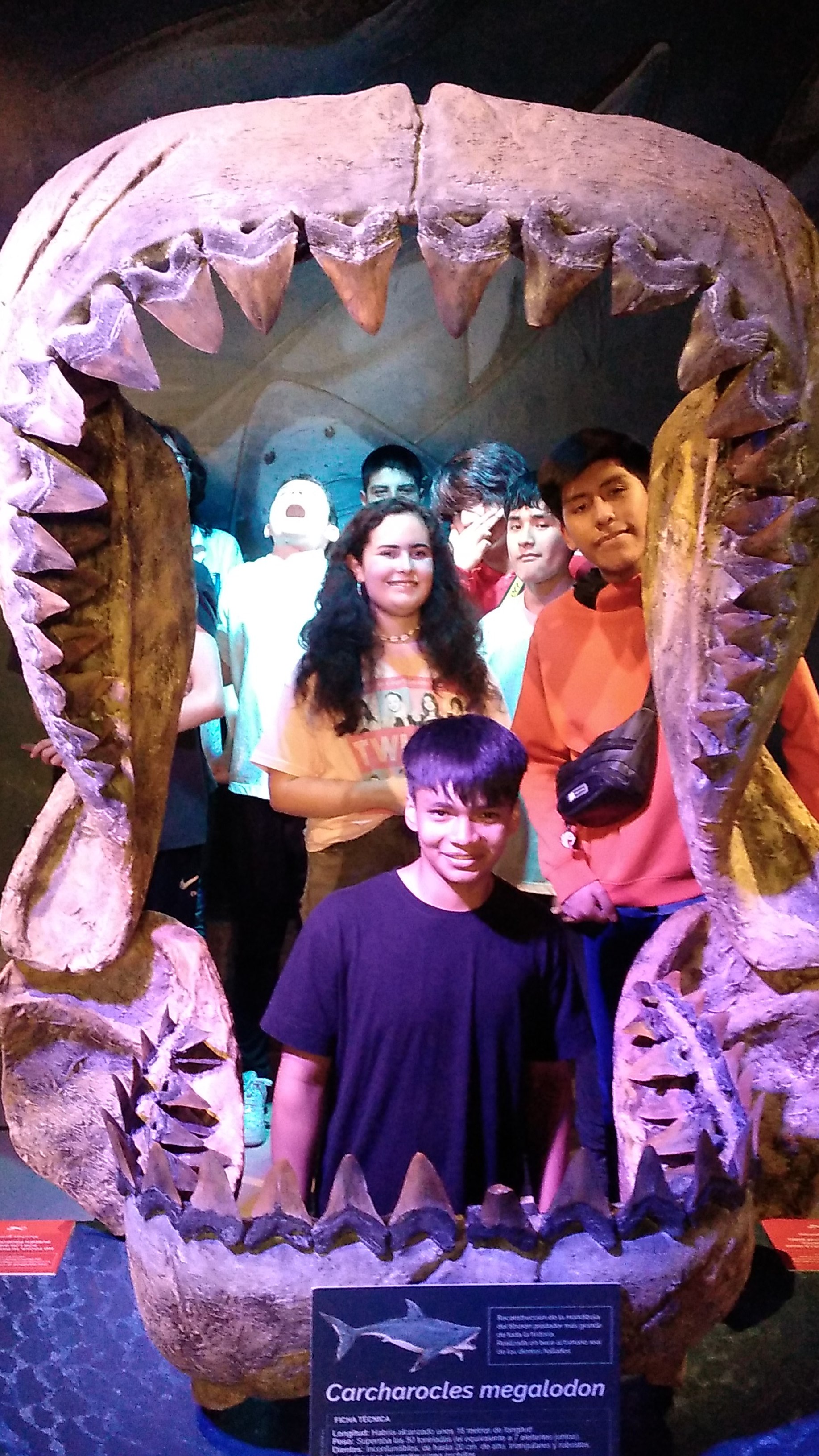Students pose in a model of the jaws of a megalodon.