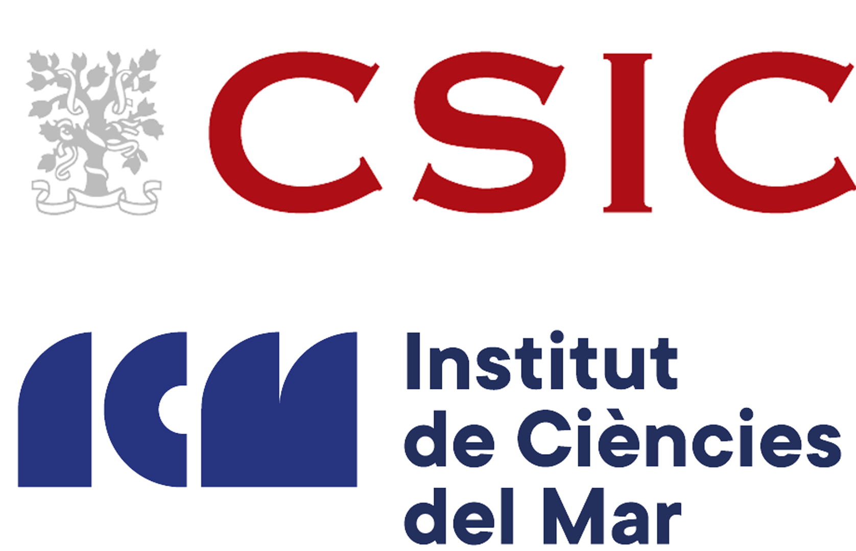 csic Logo
