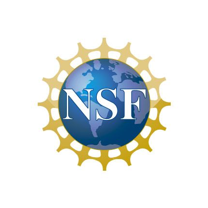 nsf Logo