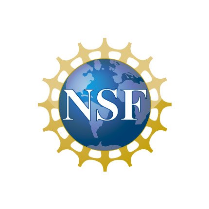 nsf Logo