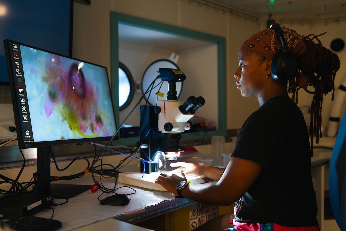 A researcher wearing a patterned bandana and headphones sitting at a lab desk, operating a stereomicroscope to examine a specimen displayed on a large computer monitor.