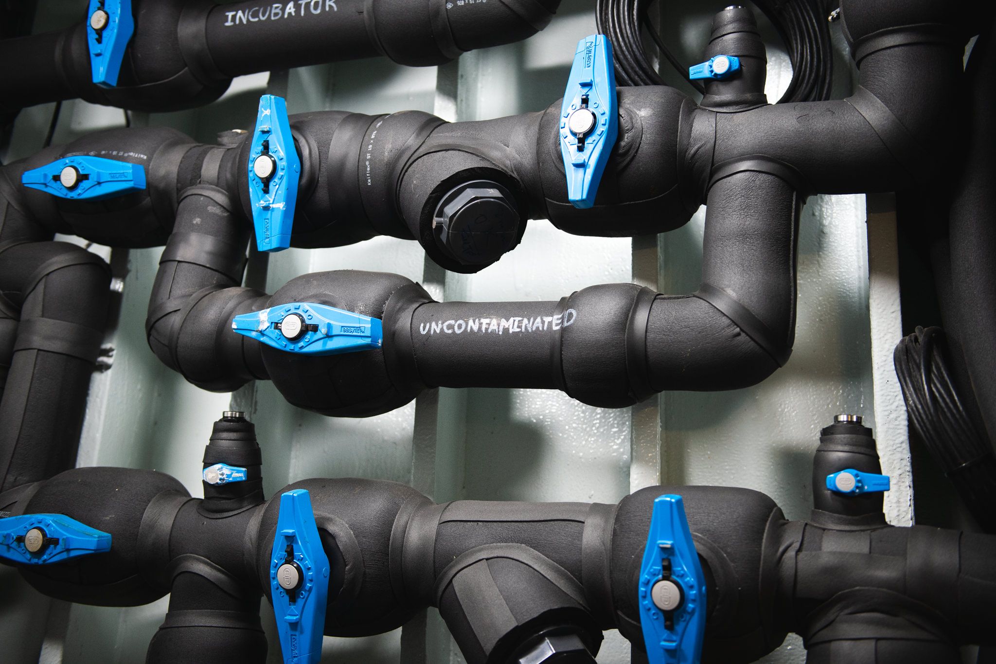 A wall with insulated piping and blue valves with one line labeled "uncontaminated."