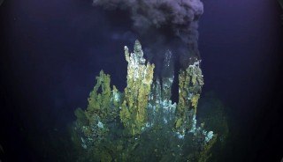 Screengrab of ROPOS dive