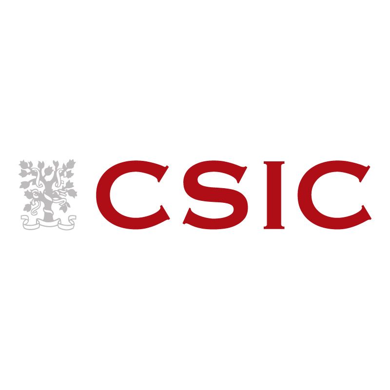 csic Logo