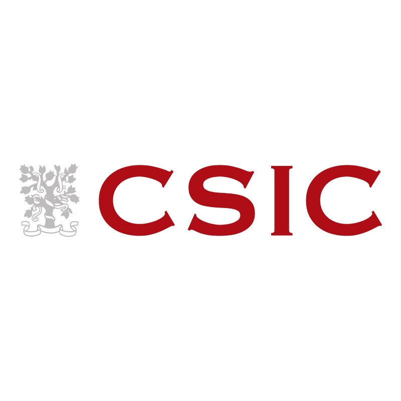 csic Logo