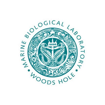 mbl Logo