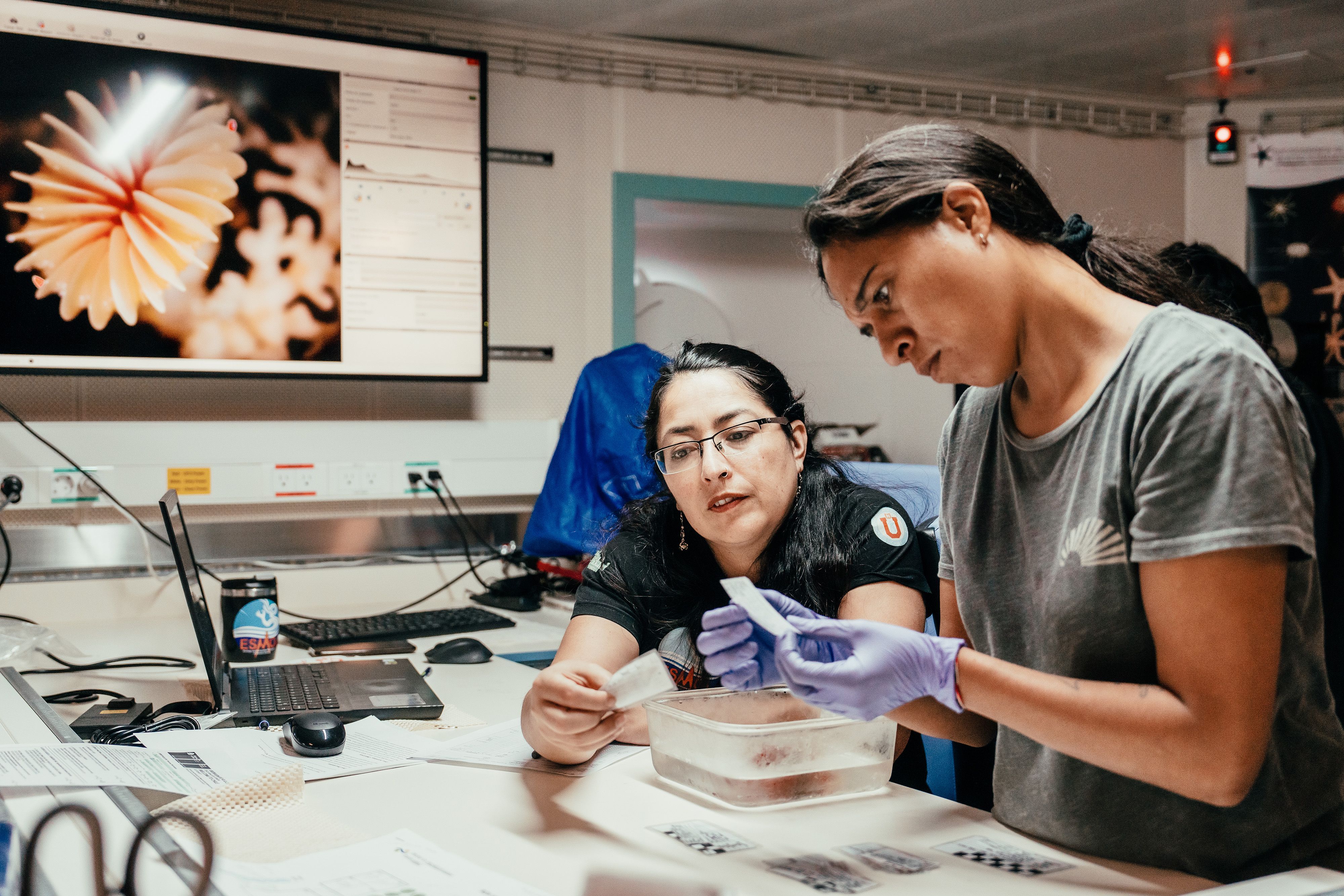 two people looking at samples