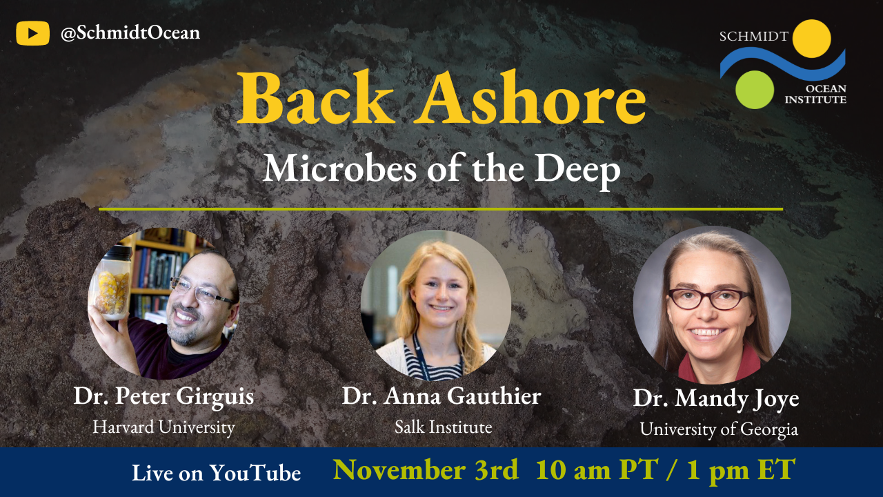 Back Ashore Microbes of the Deep OFFICIAL (YouTube Thumbnail) - Hannah Nolan