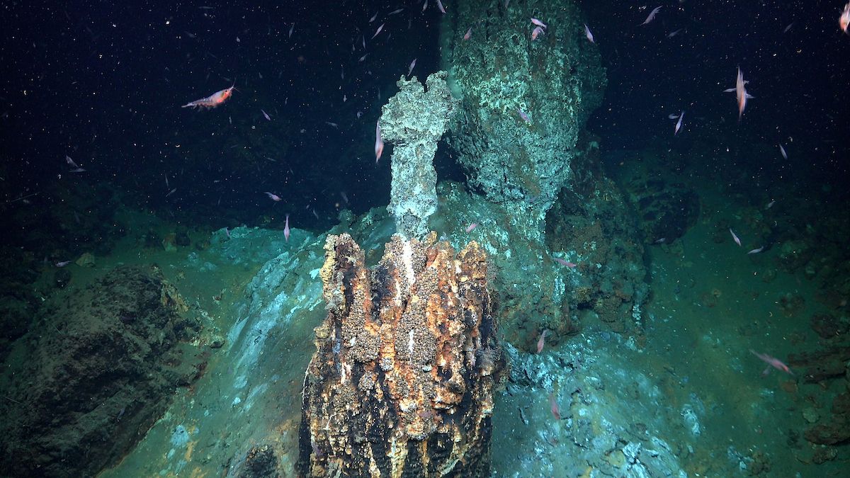 Tall hydrothermal vent chimney structure on the ocean floor surrounded by swimming deep-sea organism particles in dark water.