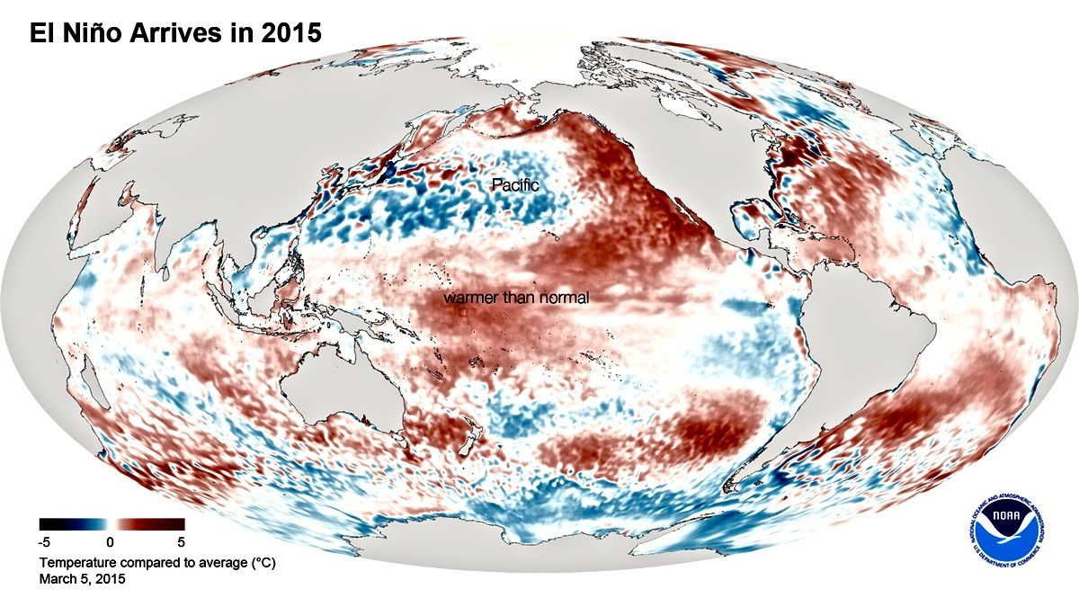 This graphic from the National Oceanic and Atmospheric Administration illustrates the warmer than normal equatorial Pacific sea surface temperatures that characterize the onset of an El Niño Southern Oscillation event. This expedition could eventually help researchers better understand and forecast these events.