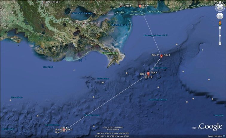 Researchers plan to visit the following study sites near the Deepwater Horizon oil spill aboard the R/V Falkor from 6 - 19 November 2012.