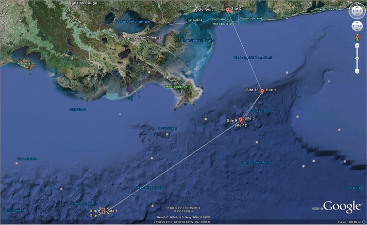 Researchers plan to visit the following study sites near the Deepwater Horizon oil spill aboard the R/V Falkor from 6 - 19 November 2012.