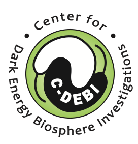 darkenergybiosphere Logo