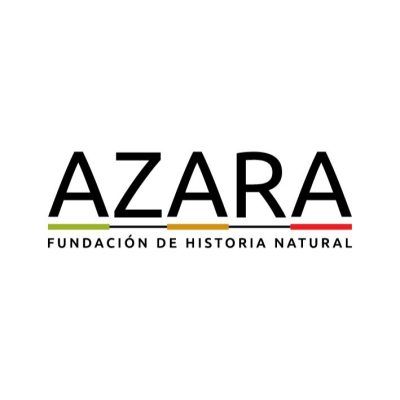 azara Logo