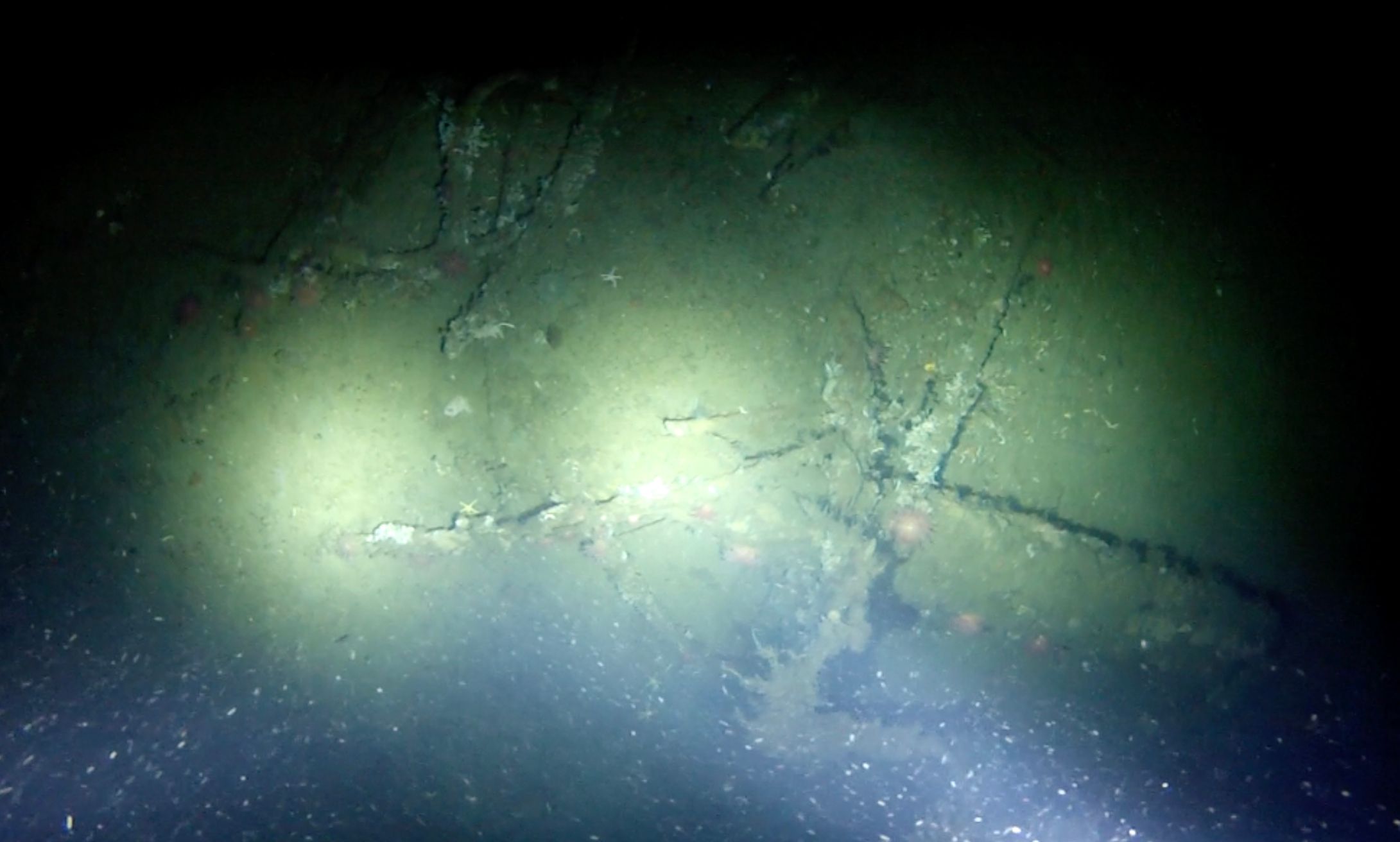 A ship wreck on the ocean floor.