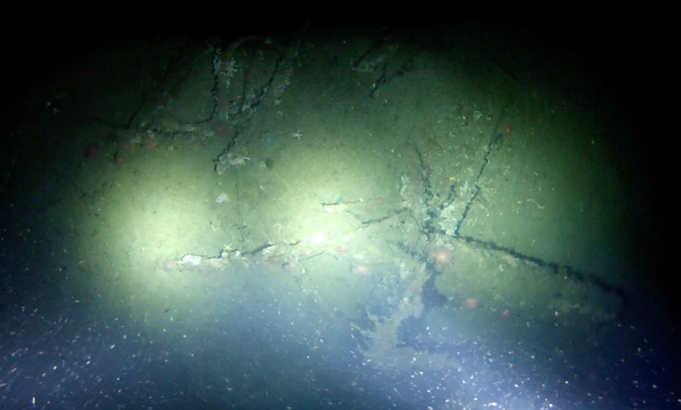 A ship wreck on the ocean floor.