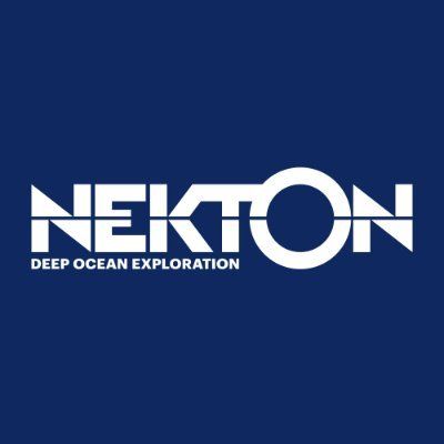 Nekton Logo
